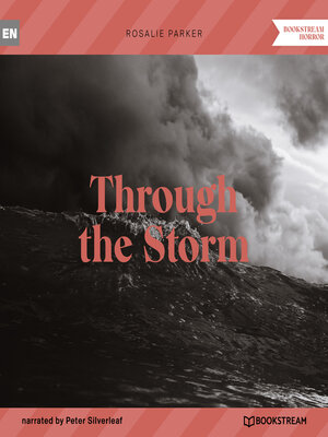 cover image of Through the Storm (Unabridged)
